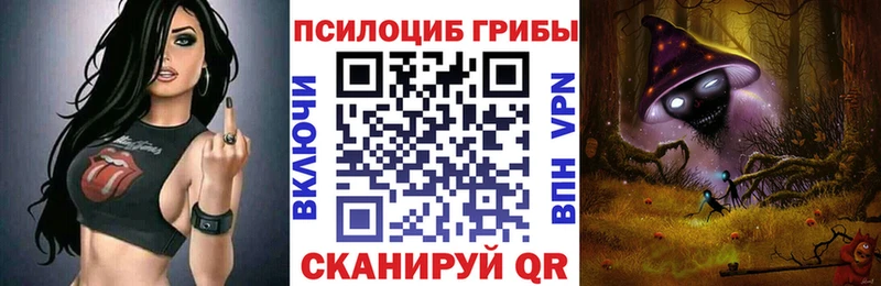 KRAKEN маркетплейс  Славгород  Псилоцибиновые грибы Cubensis 